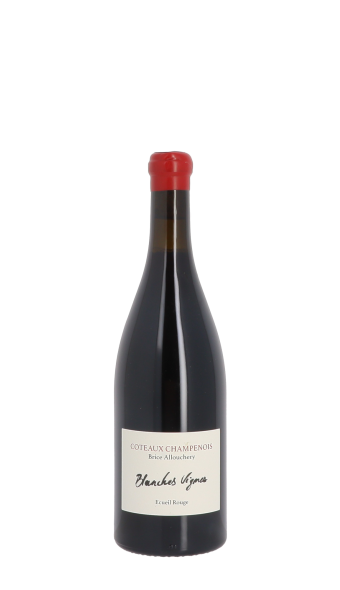 Brice Allouchery , Les Blanche Vignes 2022 Rouge 75cl