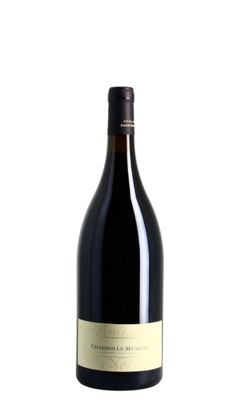 Domaine Amiot-Servelle 2022 Rouge Magnum