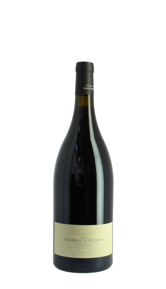 Domaine Amiot-Servelle, Les Bas-Doix 2021 Rouge Magnum