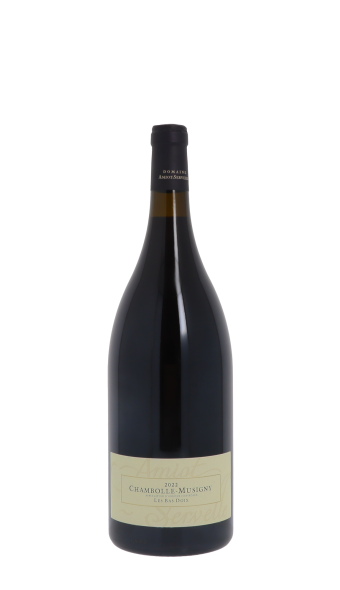 Domaine Amiot-Servelle, Les Bas-Doix 2022 Rouge Magnum