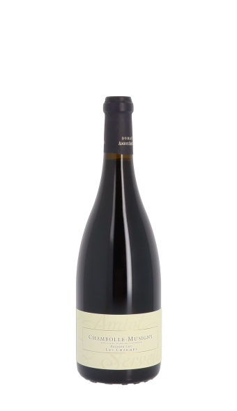 Domaine Amiot-Servelle, Les Charmes 2022 Rouge 75cl