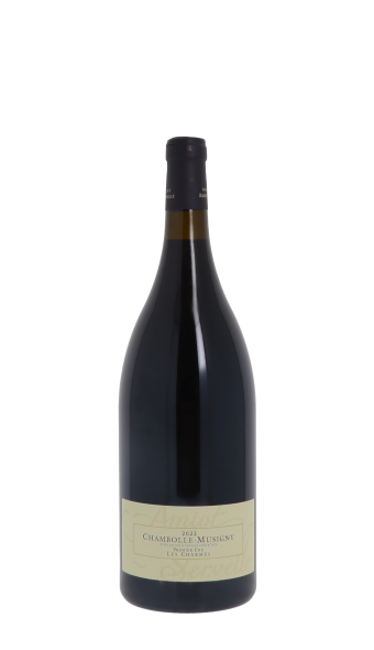 Domaine Amiot-Servelle, Les Charmes 2022 Rouge Magnum