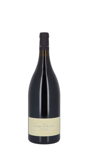 Domaine Amiot-Servelle, Les Charmes 2023 Rouge Magnum