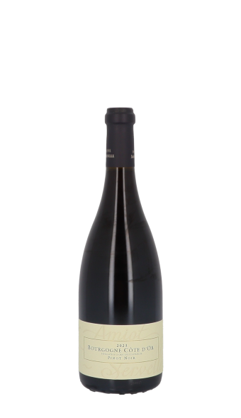 Domaine Amiot-Servelle 2023 Rouge 75cl