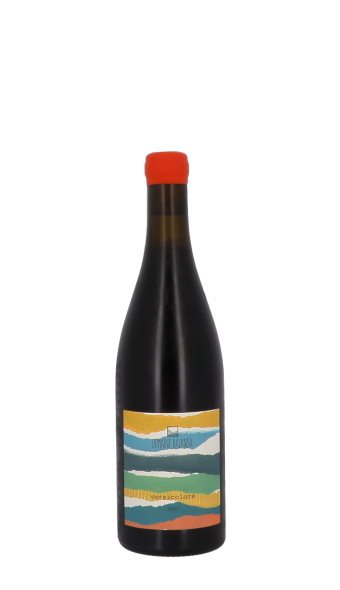 Domaine Balansa, Versicolore 2022 Rouge 75cl