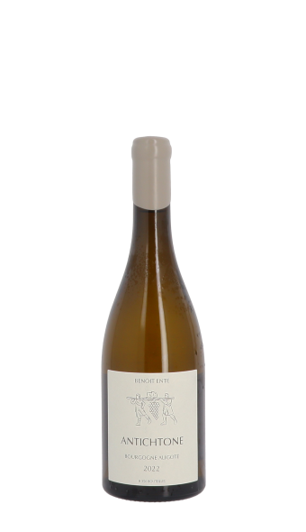 Domaine Benoit Ente, Antichtone 2022 Blanc 75cl