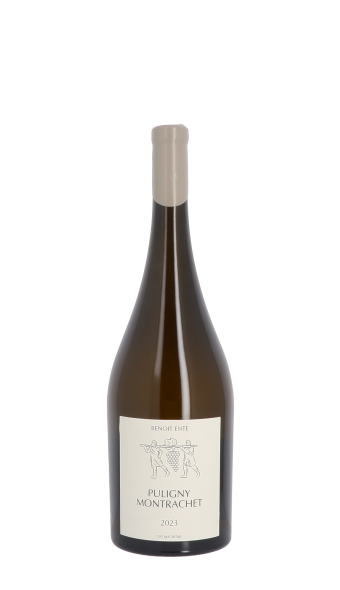 Domaine Benoit Ente 2023 Blanc Magnum