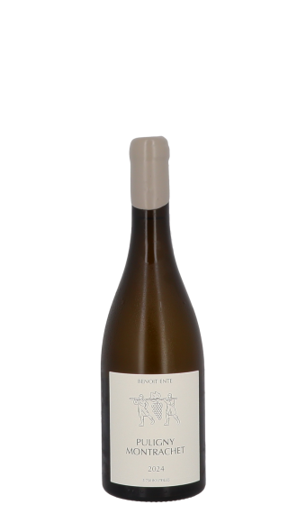 Domaine Benoit Ente 2024 Blanc 75cl