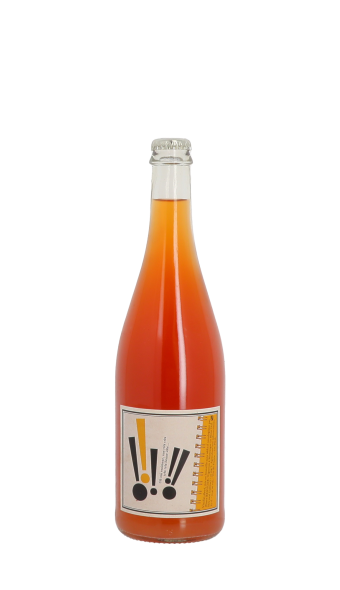 Pierre Beauger, PG 2016 Blanc 75cl
