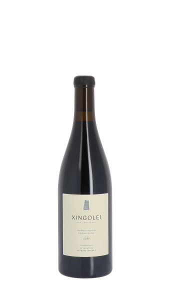 Bixente Indart, Xingolei 2022 Rouge 75cl