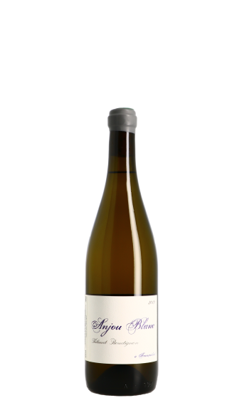 Domaine Thibaud Boudignon, à François(e) 2019 Blanc 75cl