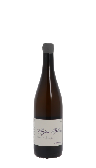 Domaine Thibaud Boudignon, à François(e) 2022 Blanc 75cl
