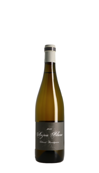 Domaine Thibaud Boudignon 2019 Blanc 75cl