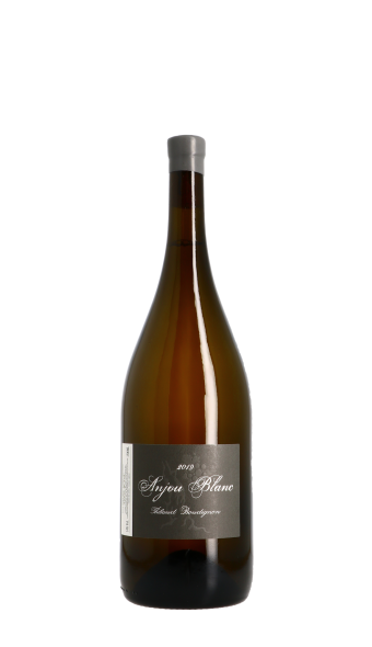 Domaine Thibaud Boudignon 2019 Blanc Magnum
