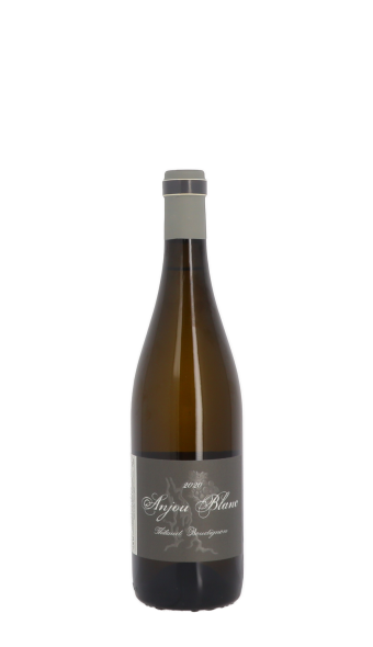 Domaine Thibaud Boudignon 2020 Blanc 75cl