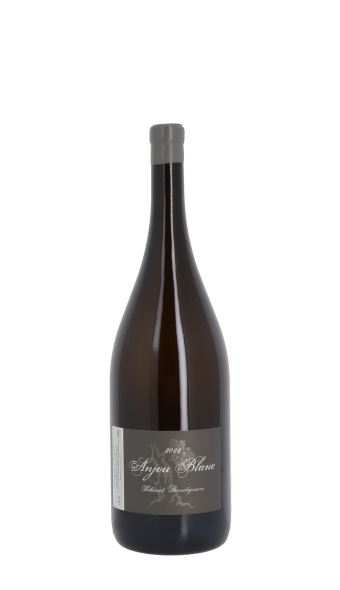 Domaine Thibaud Boudignon 2022 Blanc Magnum
