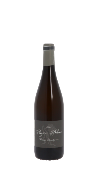 Domaine Thibaud Boudignon 2023 Blanc 75cl