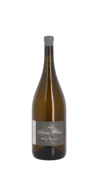 Domaine Thibaud Boudignon 2023 Blanc Magnum