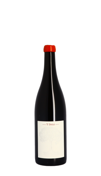 Jérôme Bretaudeau, V Sens 2020 Rouge 75cl