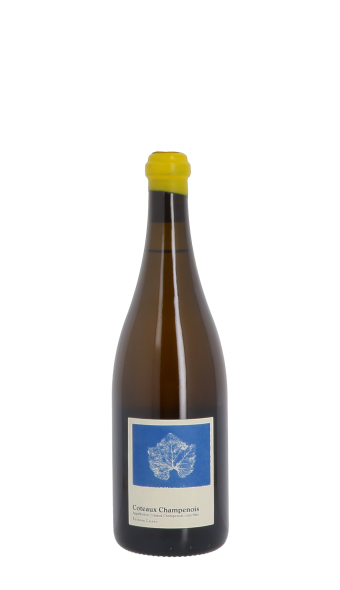 Champagne Etienne Calsac 2021 Blanc 75cl