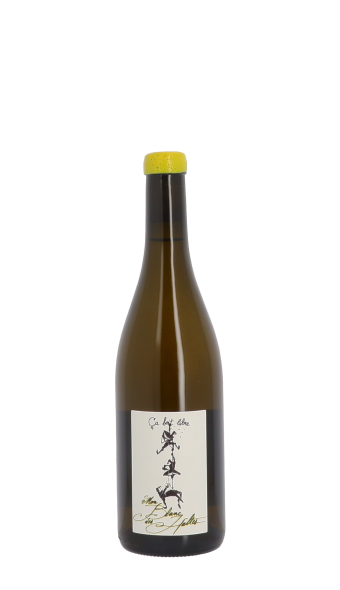 Ca boit libre, Damien Bastian 2024 Blanc 75cl