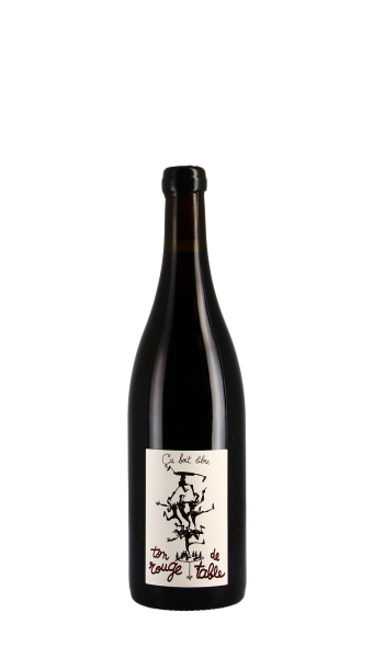 Ca boit libre - Damien Bastian, Ton Rouge de Table 2021 Rouge 75cl
