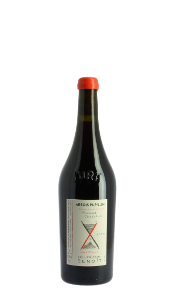 Cellier Saint Benoit, Côte de Feule 2022 Rouge 75cl