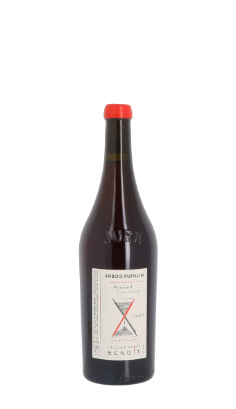 Cellier Saint Benoit, Côte de Feule 2023 Rouge 75cl