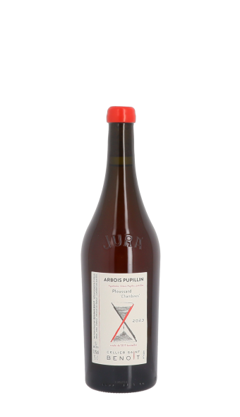 Cellier Saint Benoit, Chambines 2023 Rouge 75cl