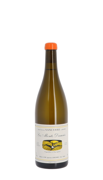 Domaine Pascal Cotat, Les Monts Damnés 2023 Blanc 75cl