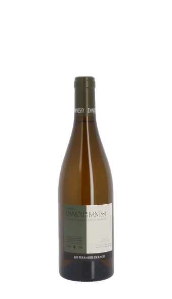 Domaine Danjou-Banessy, Coste 2023 Blanc 75cl