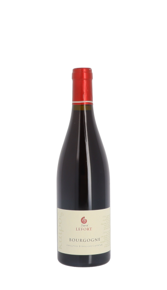 Domaine David Lefort 2022 Rouge 75cl