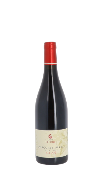 Domaine David Lefort, Castille 2022 Rouge 75cl