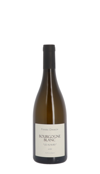 Domaine Pierre Damoy, Les Ravry 2019 Blanc 75cl