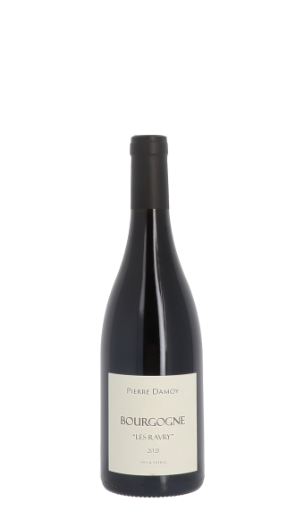 Domaine Pierre Damoy, Les Ravry 2021 Rouge 75cl