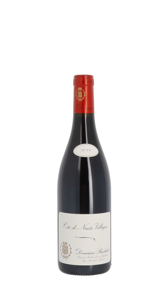 Denis Bachelet Rge 2022 Rouge 75cl