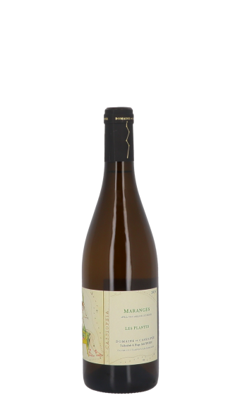 Domaine de Cassiopée, Les Plantes 2024 Blanc 75cl