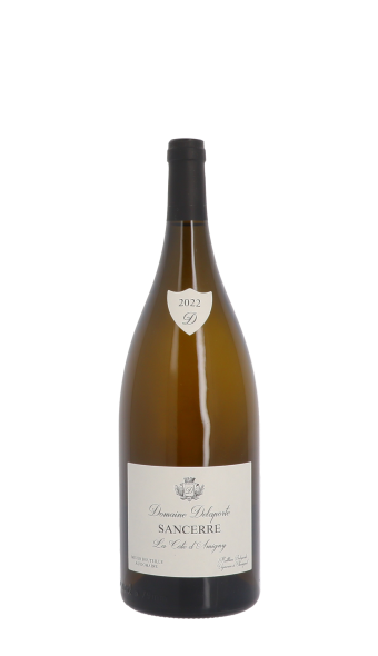 Domaine Delaporte, Côte d'Amigny 2022 Blanc Magnum