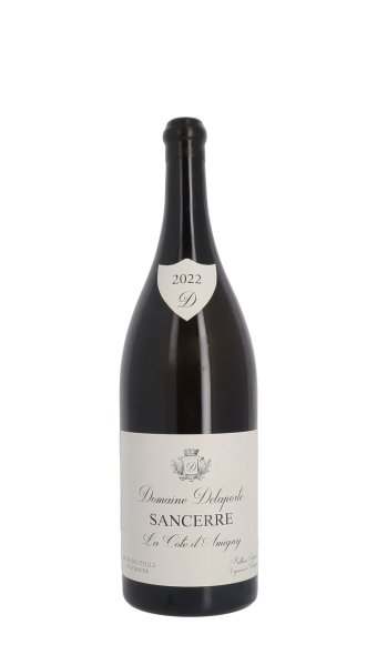 Domaine Delaporte, Côte d'Amigny 2022 Blanc Double Magnum