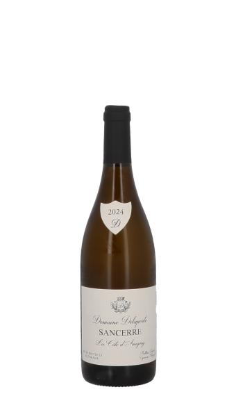 Domaine Delaporte, Côte d'Amigny 2024 Blanc 75cl