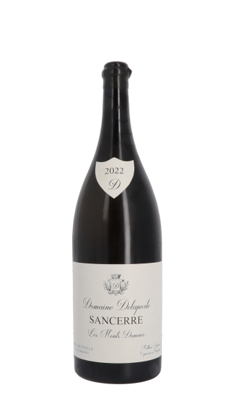 Domaine Delaporte, Les Monts Damnés 2022 Blanc Double Magnum