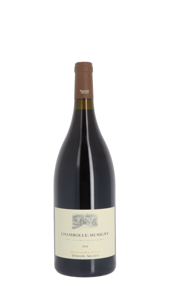 Domaine Arlaud 2022 Rouge Magnum