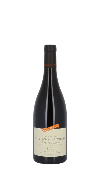 Domaine David Duband, Les Pruliers 2022 Rouge 75cl