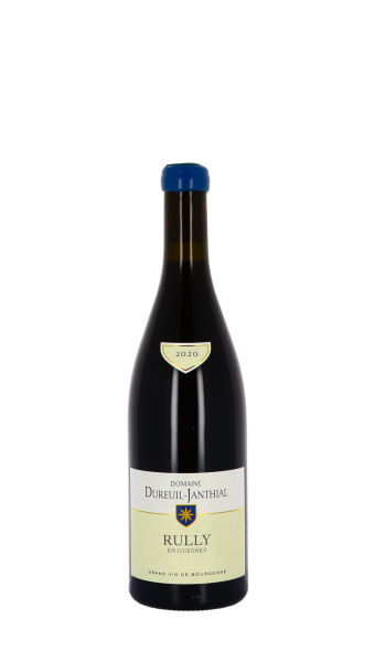 Domaine Vincent Dureuil-Janthial, En Guesnes 2020 Rouge 75cl