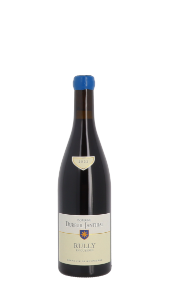 Domaine Vincent Dureuil-Janthial, En Guesnes 2022 Rouge 75cl