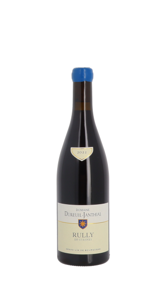 Domaine Vincent Dureuil-Janthial, En Guesnes 2022 Rouge 75cl