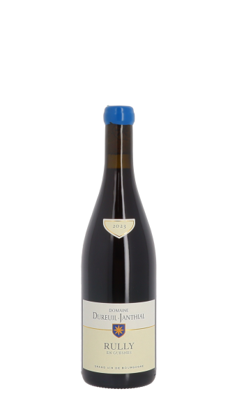 Domaine Vincent Dureuil-Janthial, En Guesnes 2023 Rouge 75cl
