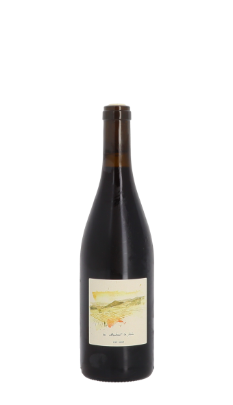 Henri Chauvet, En attendant la pluie 2023 Rouge 75cl
