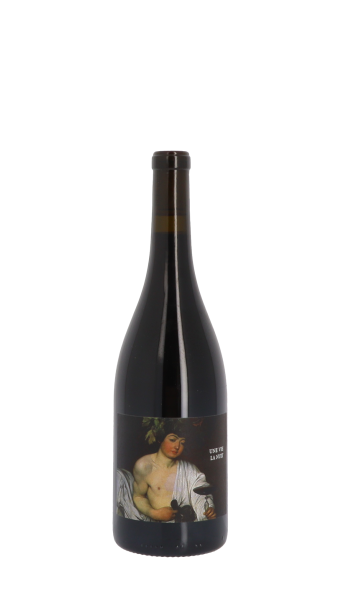 Hors Champ, Une vie la nuit 2022 Rouge 75cl