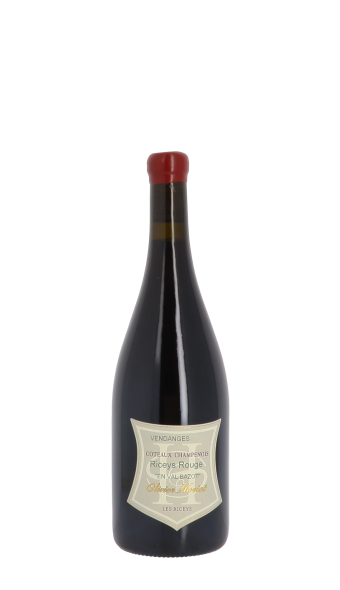 Champagne Olivier Horiot, Les Riceys "En Val Bazot" 2018 Rouge 75cl
